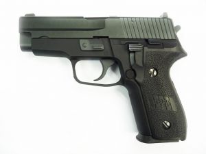 WE F228 Gas Blow Back Pistol ( Black )