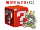 MEDIUM Mystery Box (USD$30) [Valued USD$45-65]