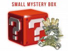 SMALL Mystery Box (USD$10) [Valued USD$20-25]