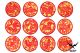 1Set 12 Chinese Zodiac Patches 