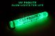 UV PAQLITE Reusable Glow Stick 4inch