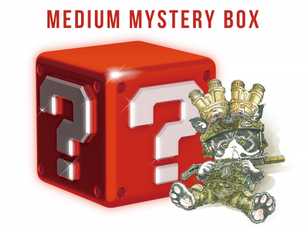 I Bought a $30 Mystery Box from ! 